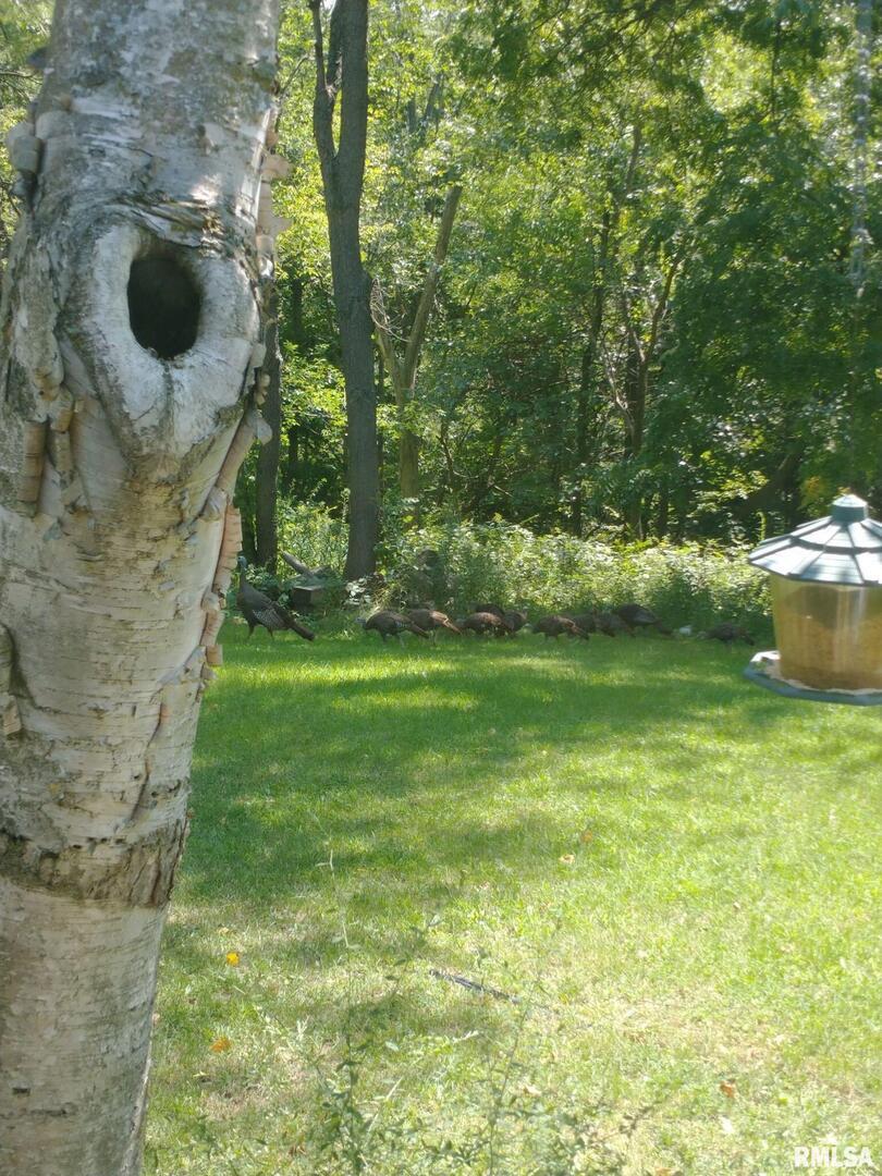8039 Hazel Road Morrison, IL 61270 - Photo 38 of 39 a backyard of a house with lots of green space