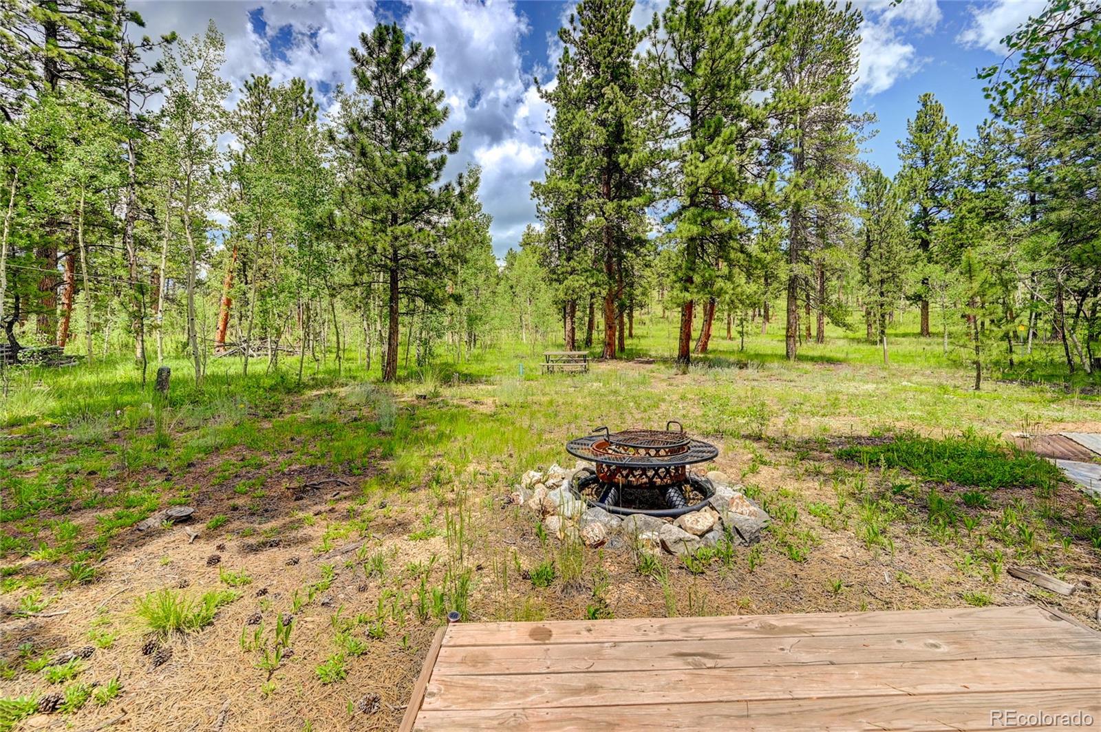 85 Gauthier Road Bailey, CO 80421 - Photo 15 of 22 Gallery Image 15
