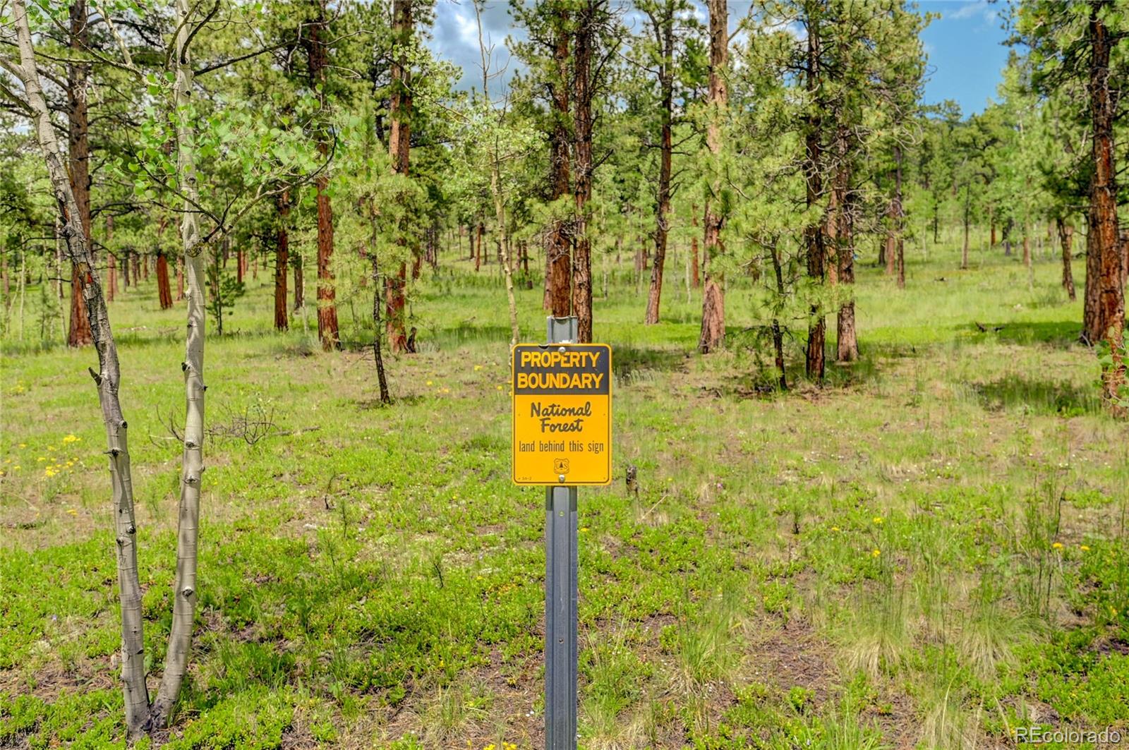 85 Gauthier Road Bailey, CO 80421 - Photo 22 of 22 Gallery Image 22