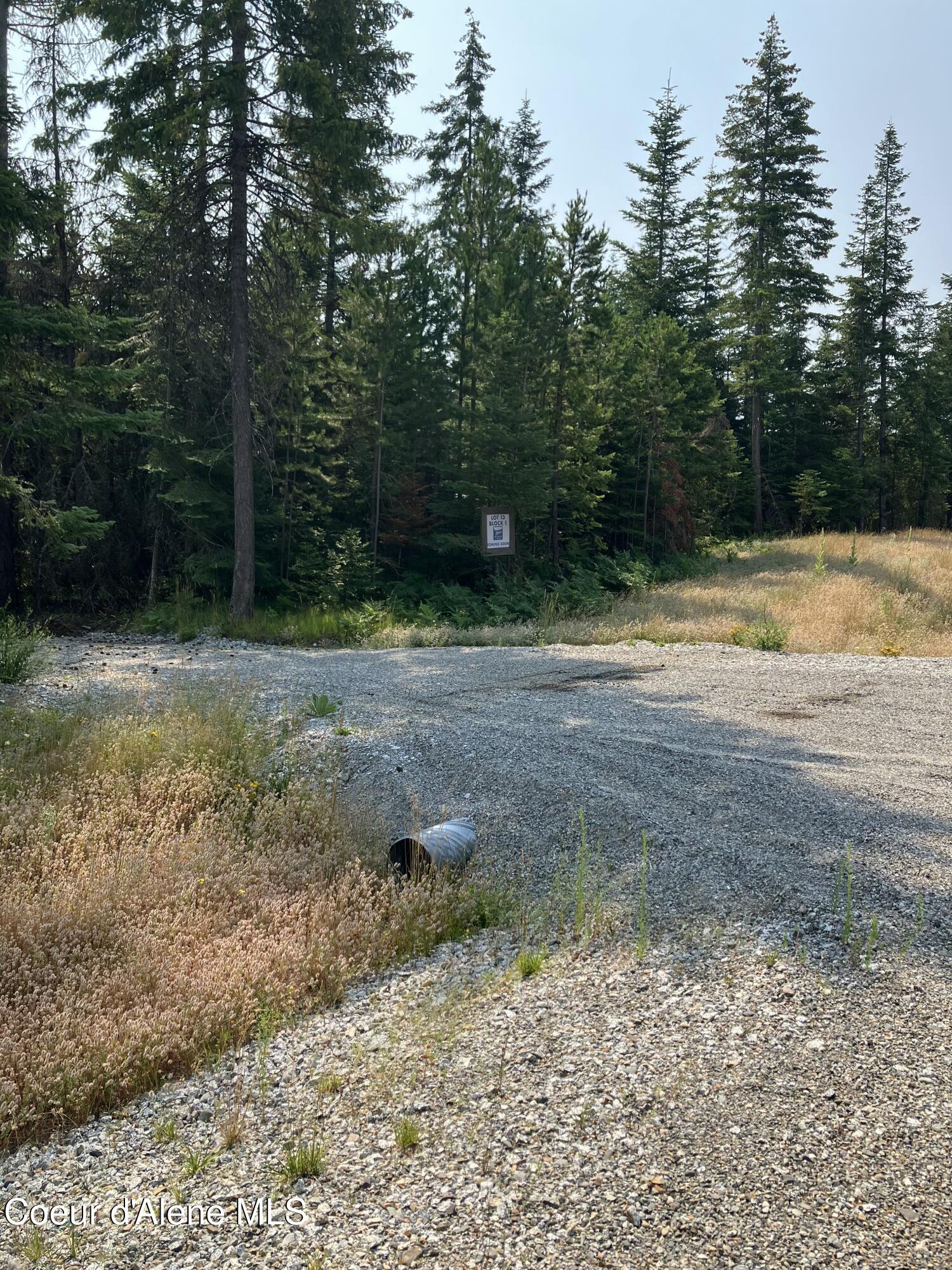 North Leonard Loop Athol, ID 83801 - Photo 8 of 21 1000018198