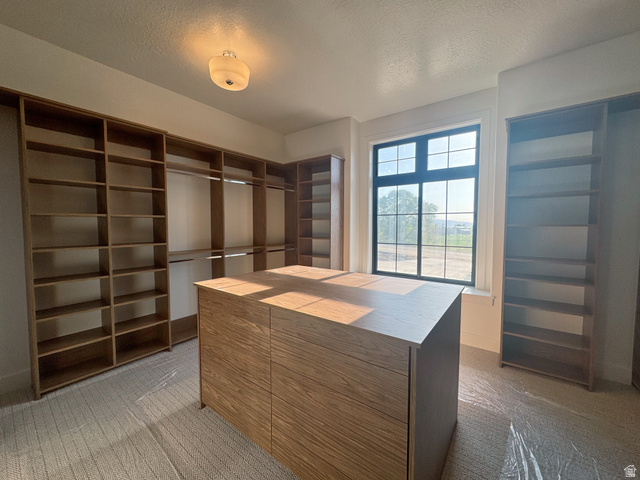 702 North 2000 East, Unit 305 Mapleton, UT 84664 - Photo 11 of 14 Primary Closet