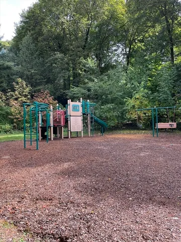 a view of a backyard with large trees
