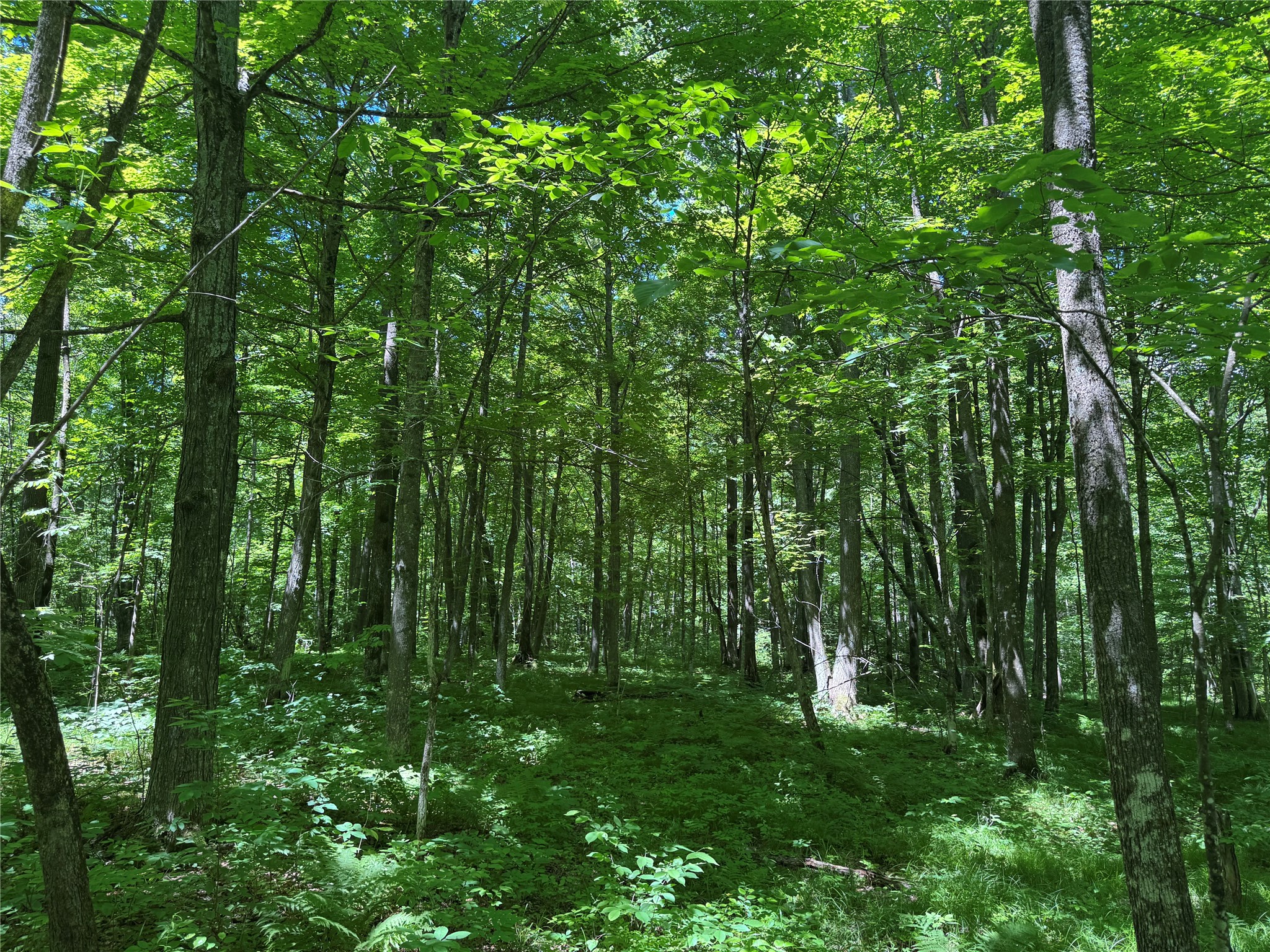 Ooo Snowshoe Road Wausau, WI 54403 - Photo 28 of 48