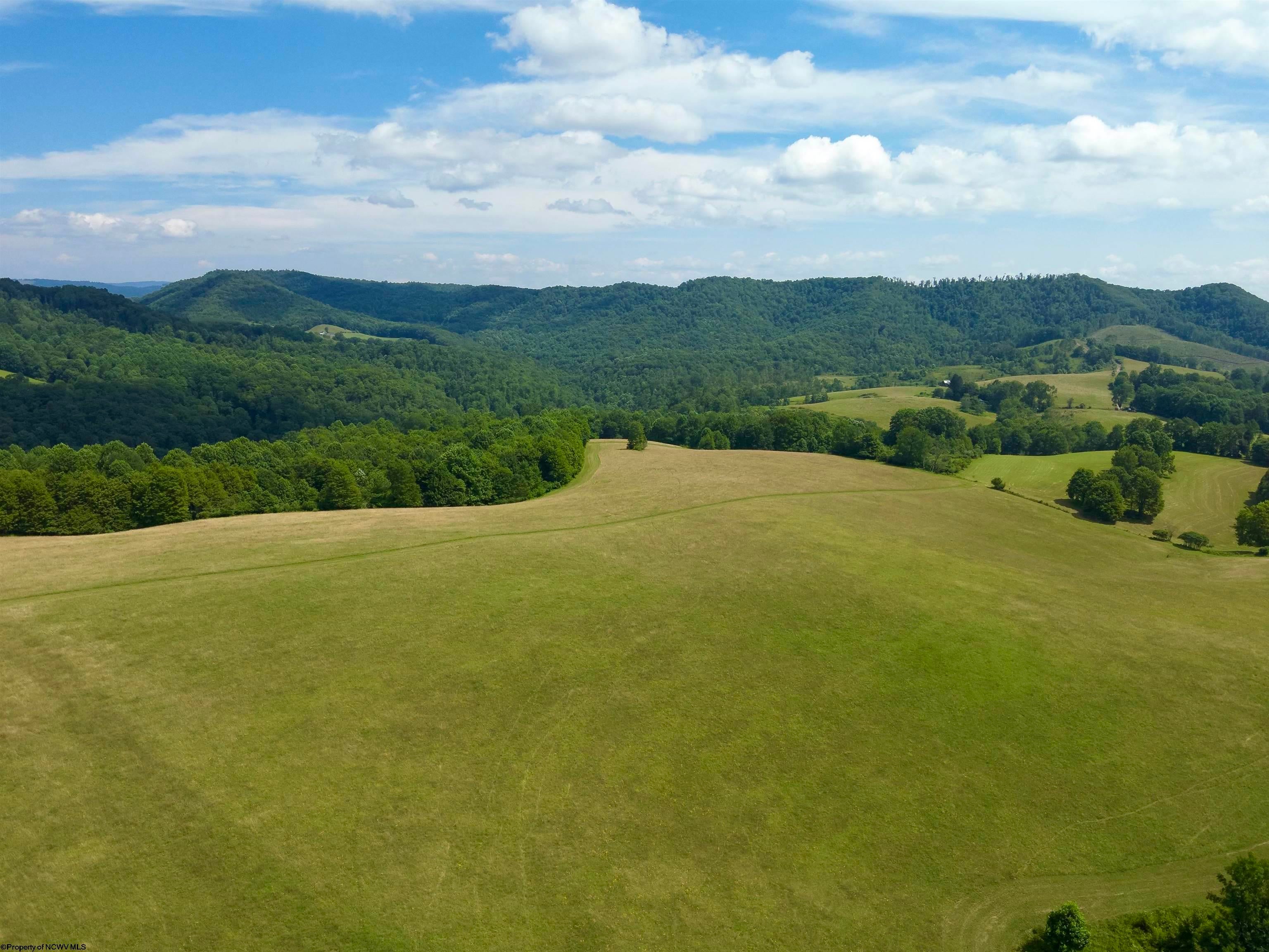 Tbd Red Rock Road Rowlesburg, WV 26425 - Photo 2 of 46 Gallery Image 2