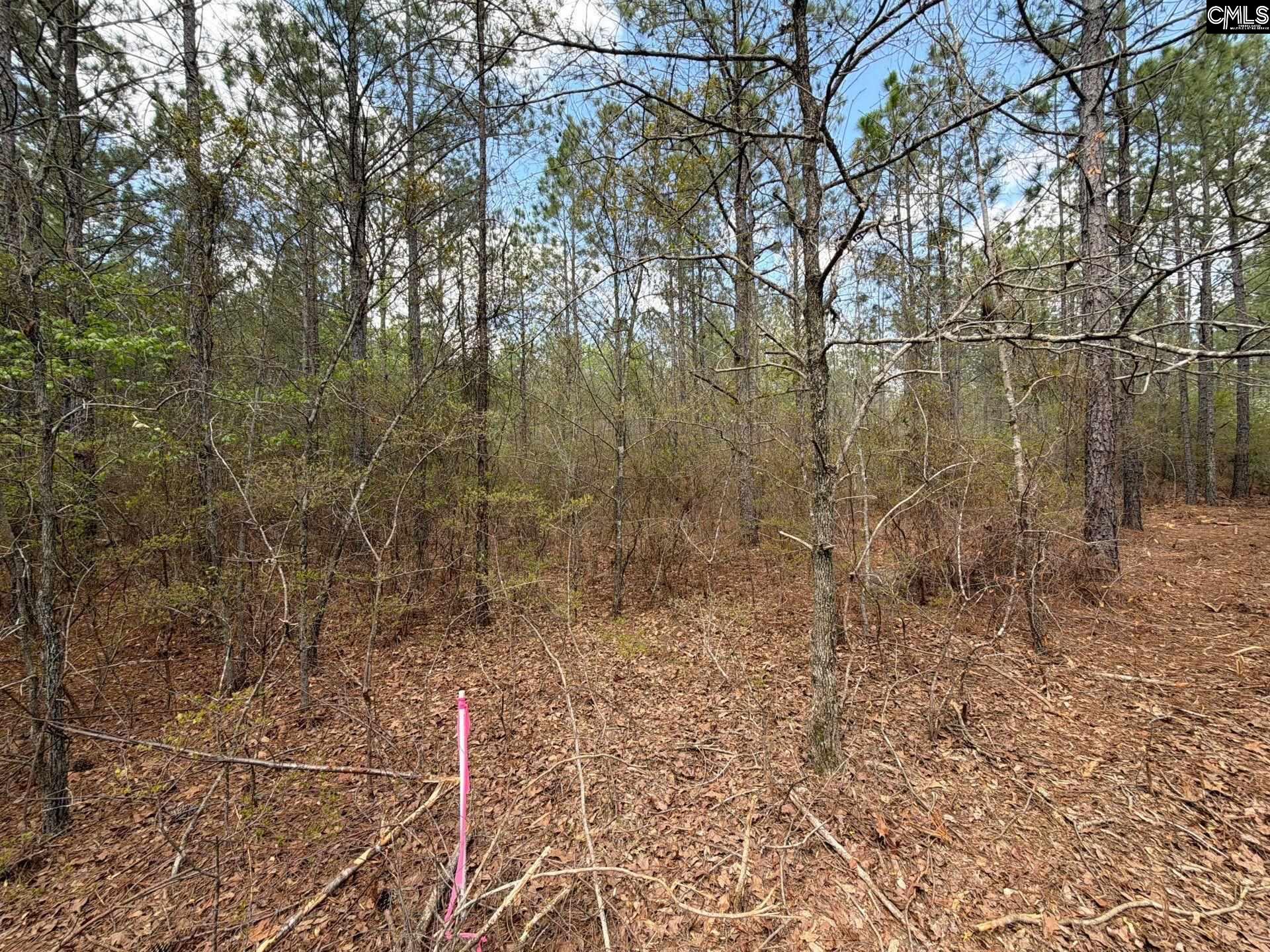 2 Mt Calvary Rd Ridge Spring, Unit CA 2 Ridge Spring, SC 29129 - Photo 28 of 29