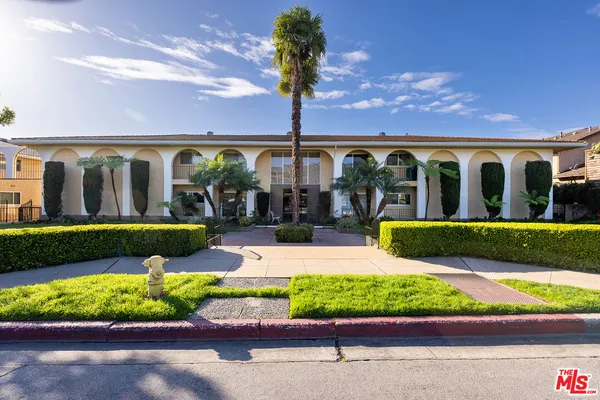 a view of a yard with potted plants