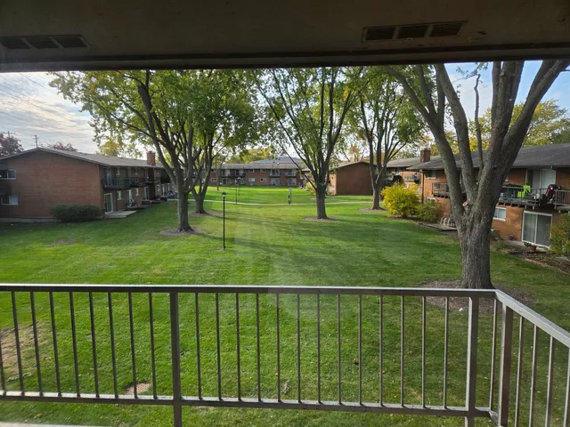 a view of a garden with a trees