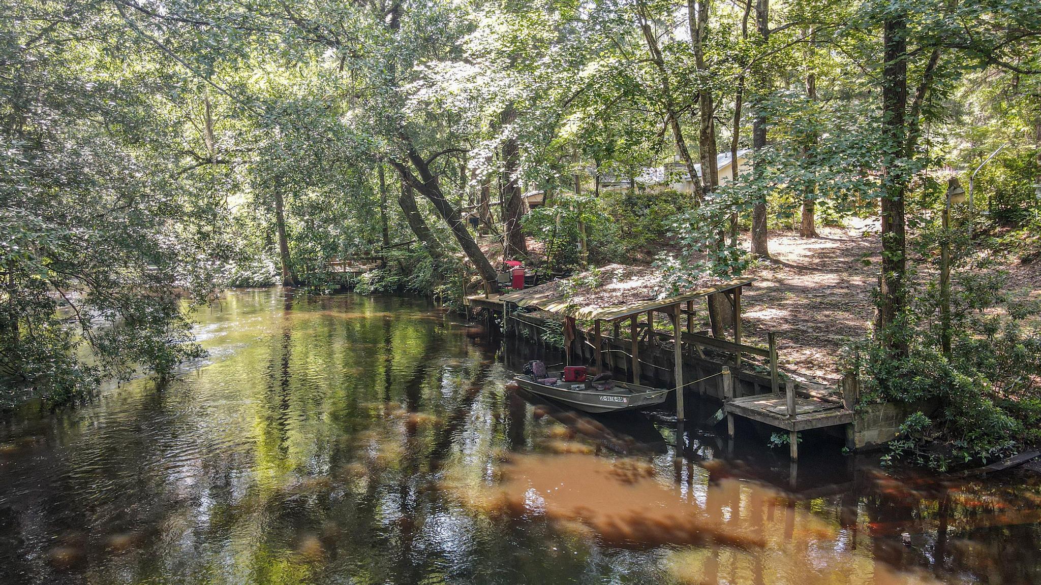 951 Shipes Bluff Road Blackville, SC 29817 - Photo 6 of 29