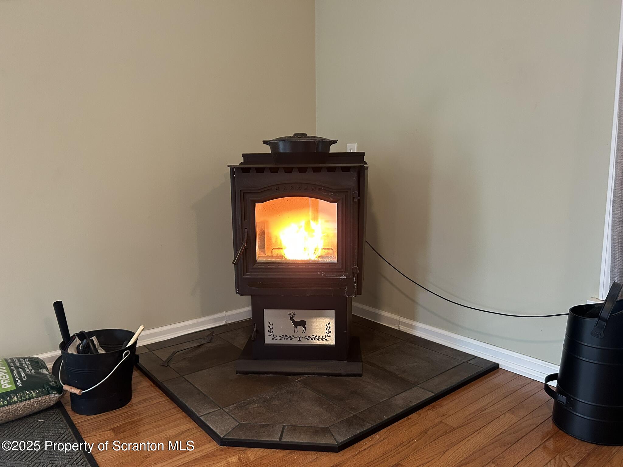 129 Campspear Road Factoryville, PA 18419 - Photo 26 of 58 pellet stove
