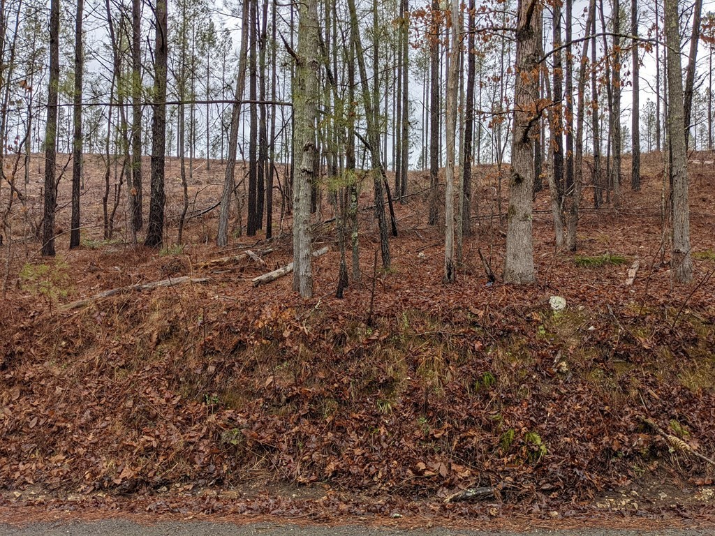 776 Dake Road Decatur, TN 37322 - Photo 3 of 15