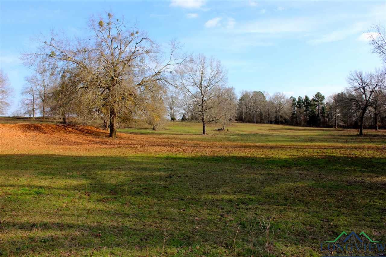 Tbd Vanderslice Road Longview, TX 75602 - Photo 6 of 19 Gallery Image 6