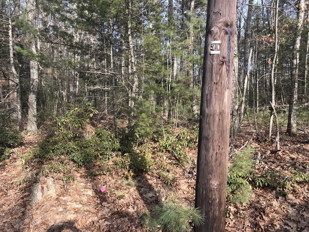 165 Shepard Road Sturbridge, MA 01566 - Photo 2 of 5 Gallery Image 2