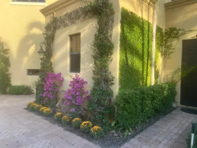 a view of backyard with plants and outdoor seating