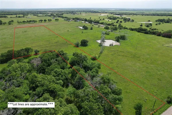 an aerial view of huge green field with lots of green plants and fog