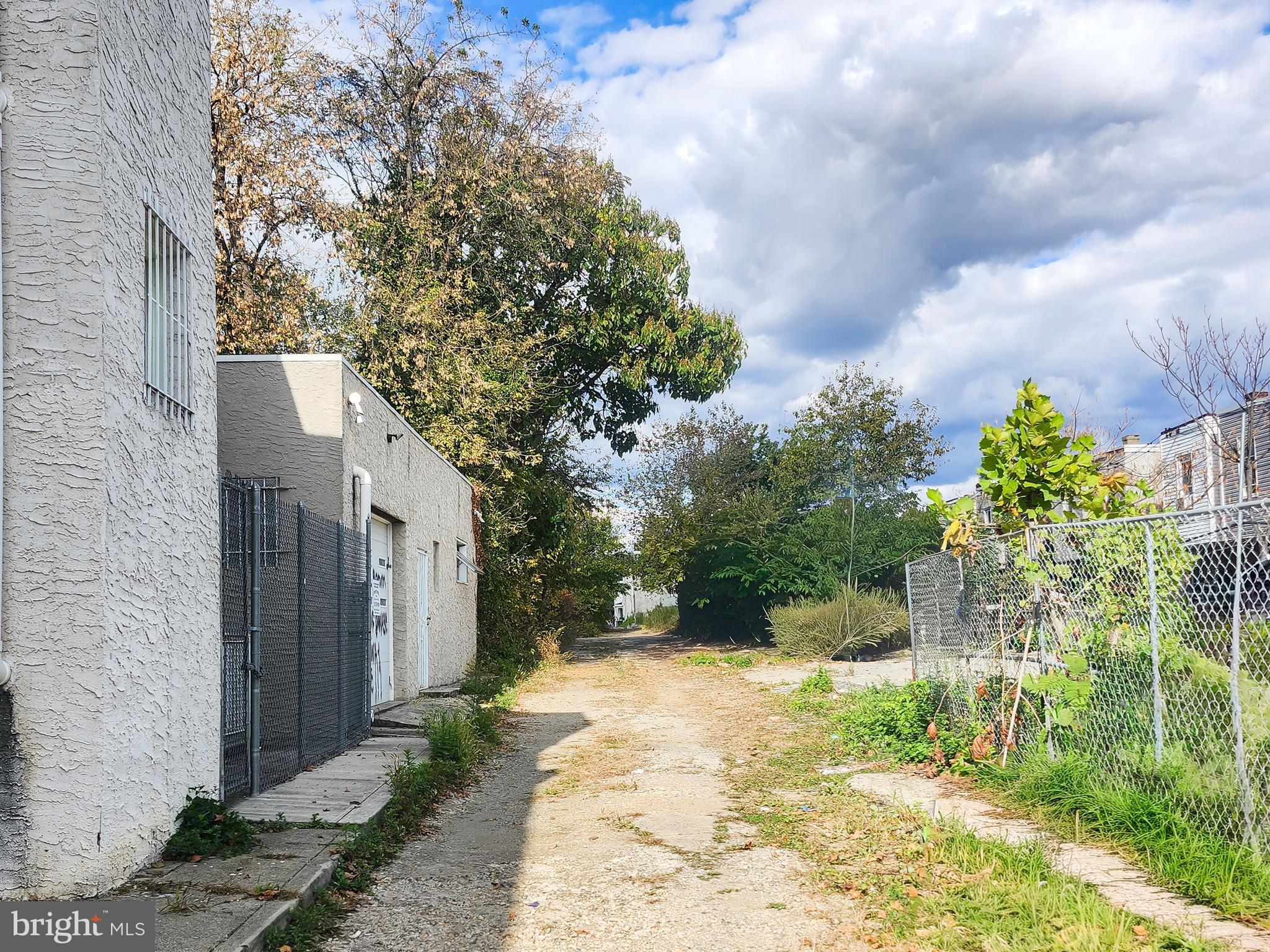 a view of a yard with plants and large trees