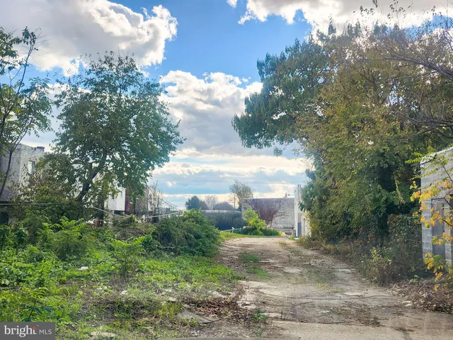 a backyard of a house with plants and trees