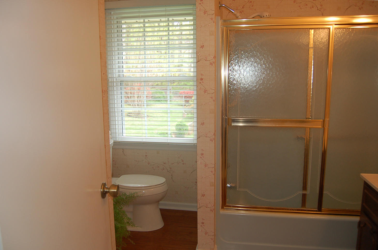 52 Ridgeview Road Blue Ridge, VA 24064 - Photo 17 of 46 a bathroom with a window and a toilet