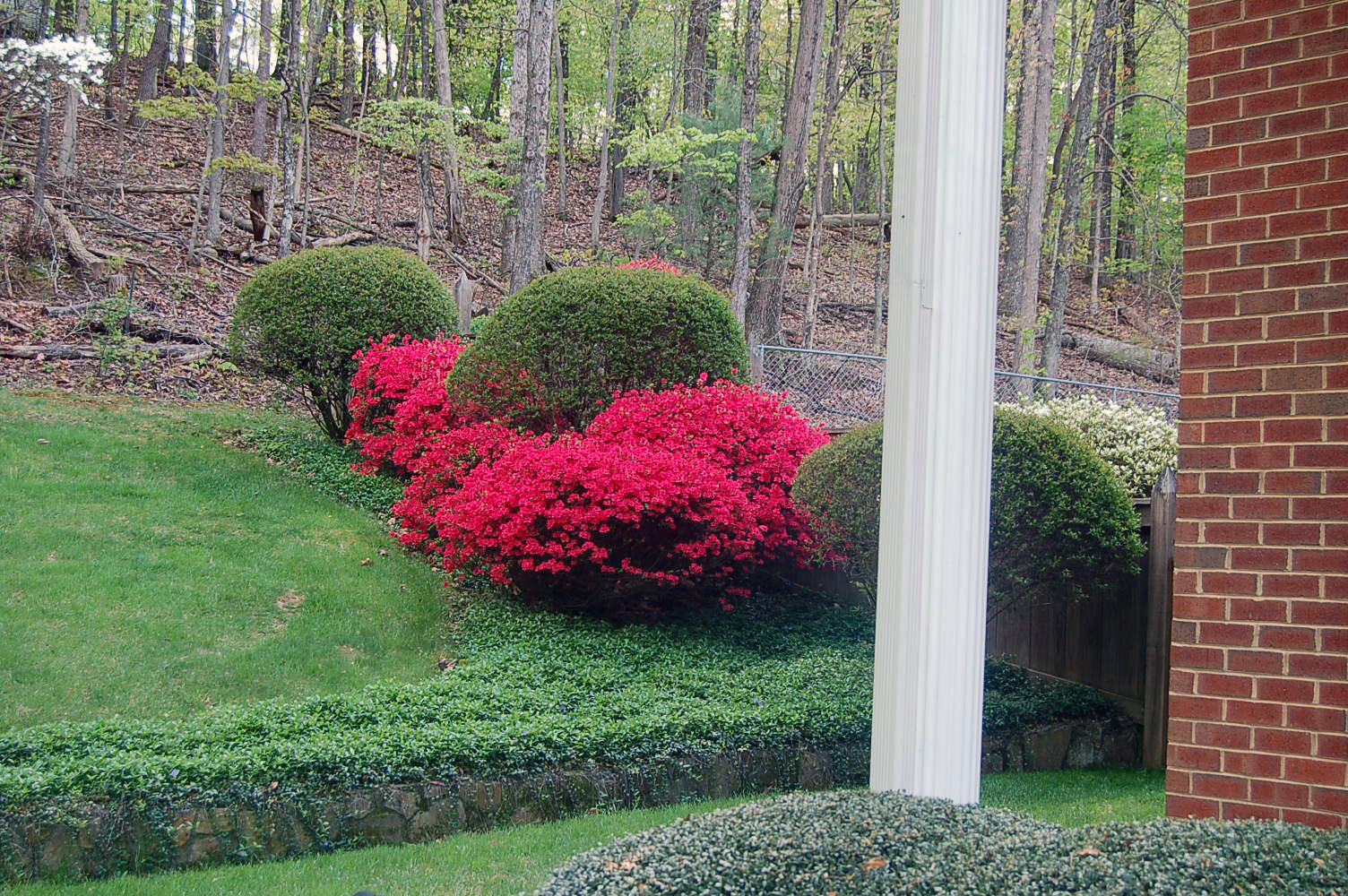 52 Ridgeview Road Blue Ridge, VA 24064 - Photo 41 of 46 a view of a wooden house with a big yard and potted plants