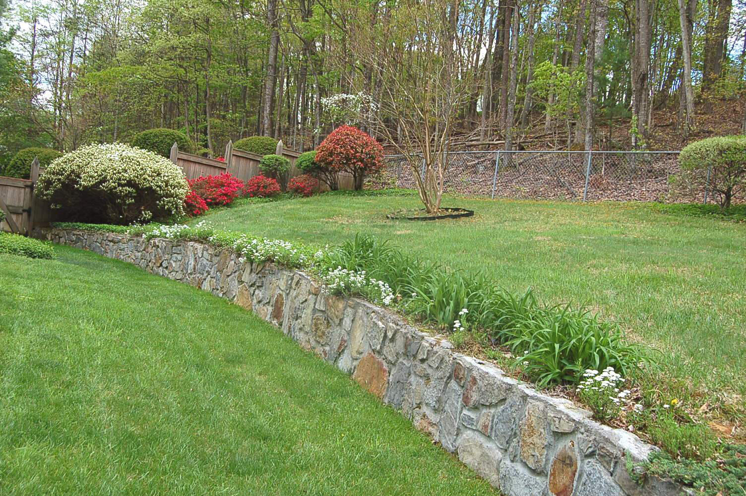 52 Ridgeview Road Blue Ridge, VA 24064 - Photo 43 of 46 a view of a garden with flowers and trees