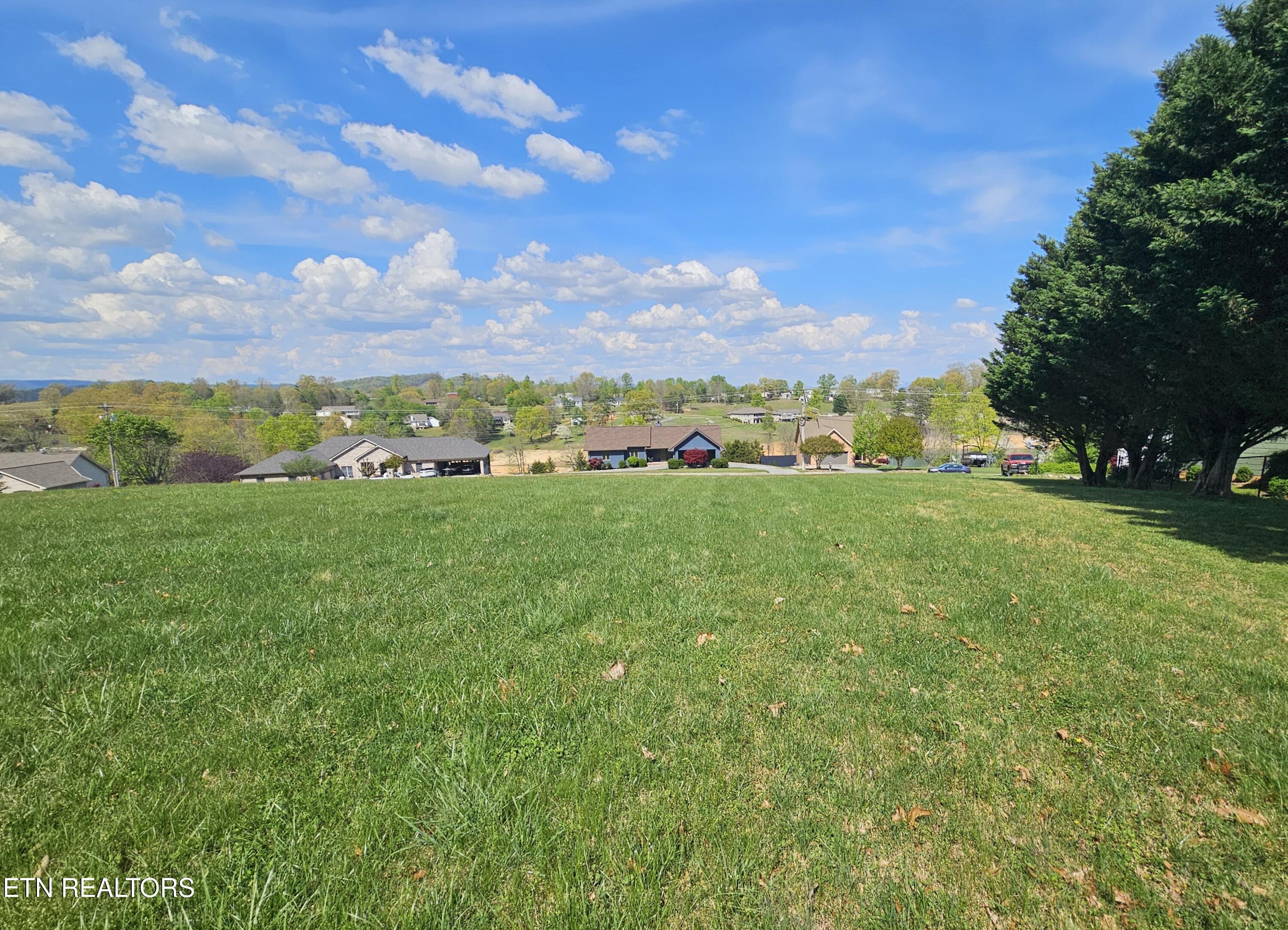 Lot 84 Mallard Baye Rutledge, TN 37861 - Photo 11 of 12 Lot is cleared