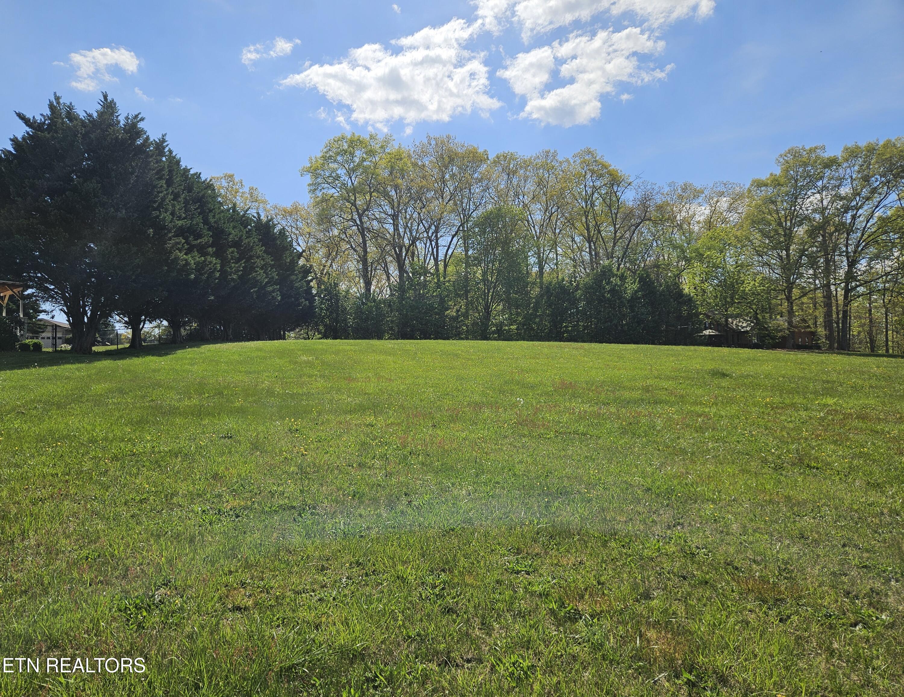 Lot 84 Mallard Baye Rutledge, TN 37861 - Photo 6 of 12 Beautiful level lot