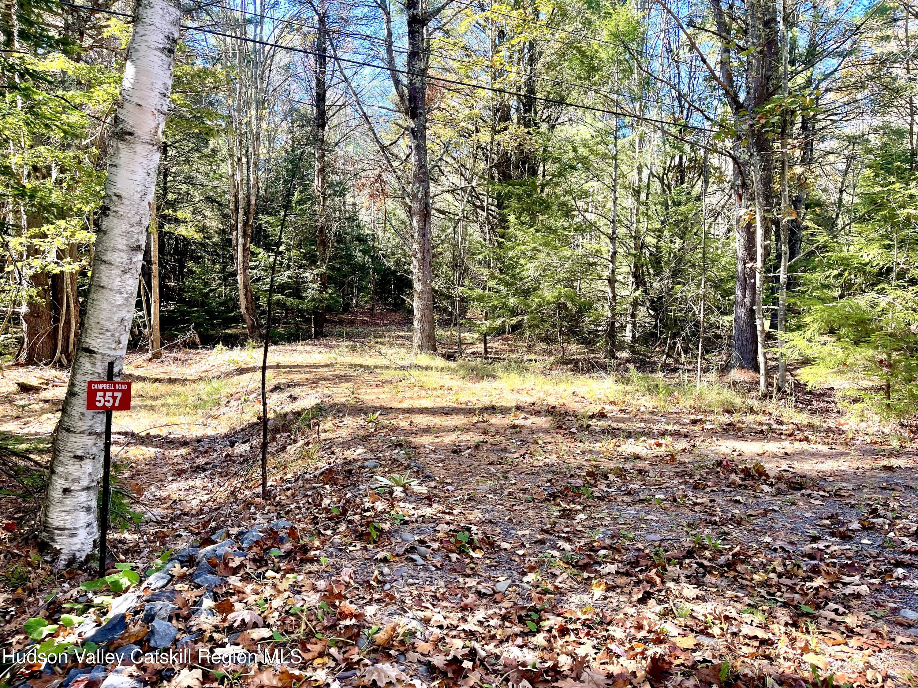 557 Campbell Road Windham, NY 12496 - Photo 4 of 11 a view of walk in between the yard