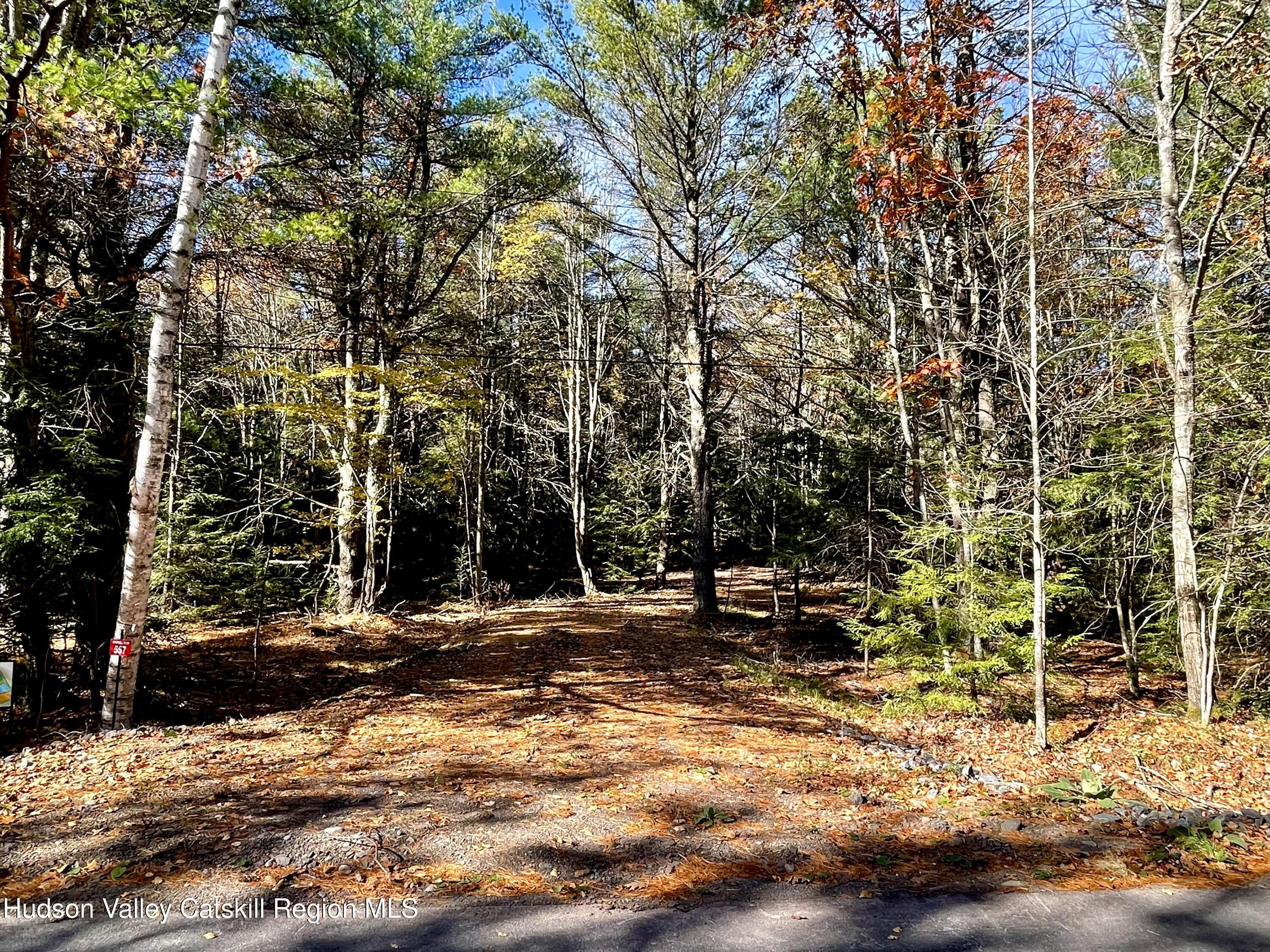 557 Campbell Road Windham, NY 12496 - Photo 6 of 11 a view of outdoor space with deck