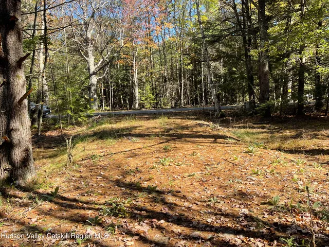 a view of water yard with trees