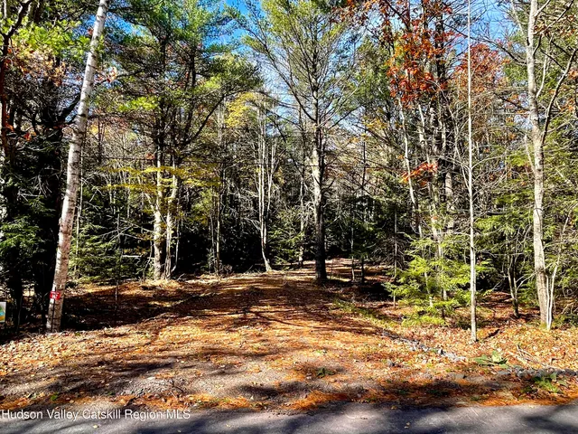 a view of walk in between the yard