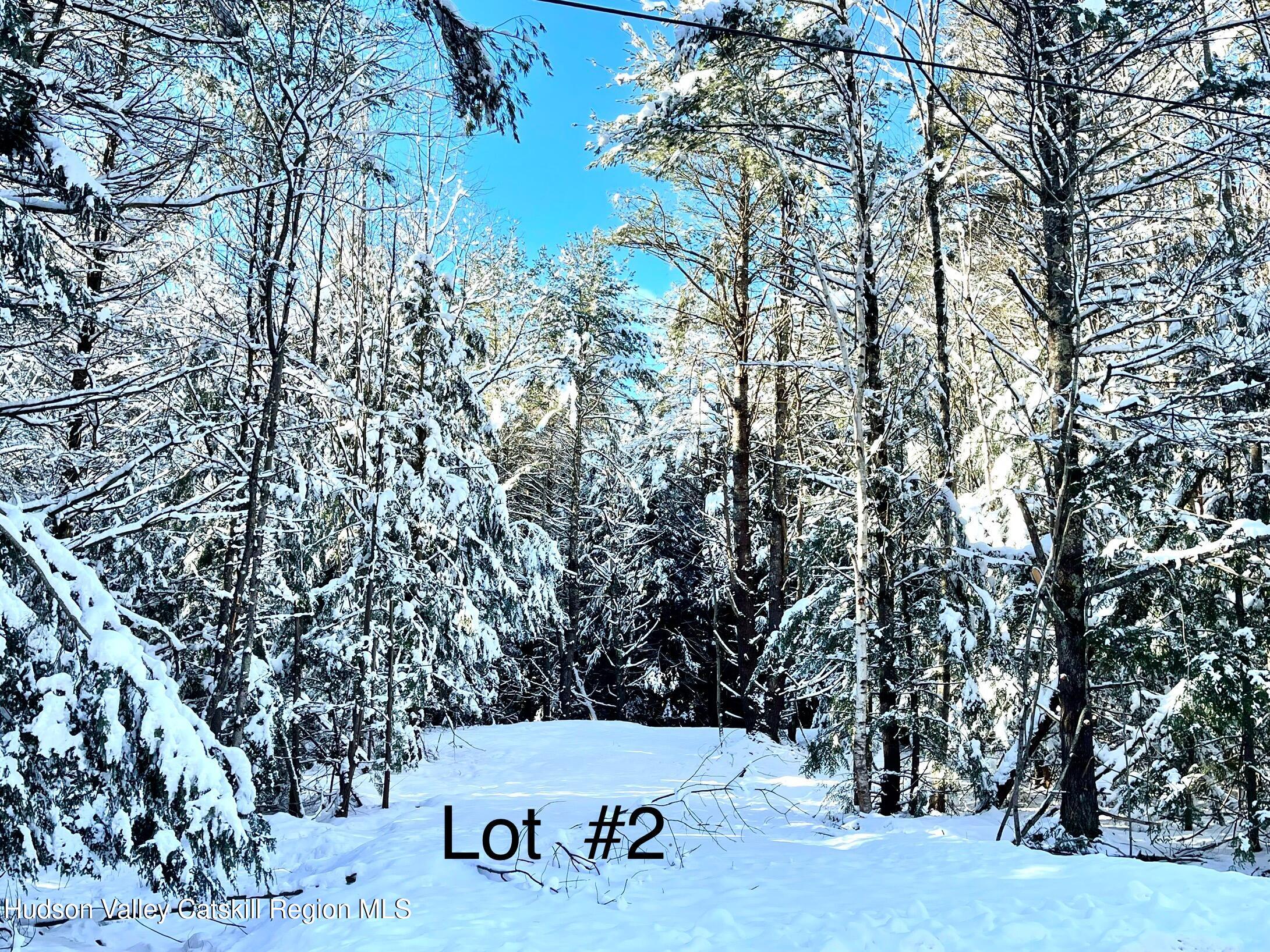 557 Campbell Road Windham, NY 12496 - Photo 7 of 11 a view of a forest
