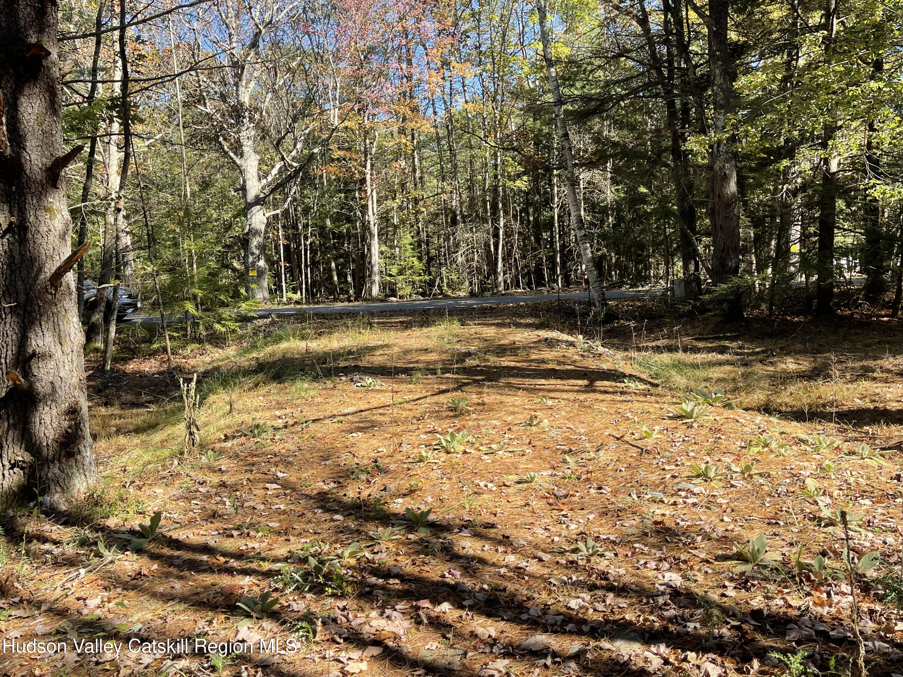 557 Campbell Road Windham, NY 12496 - Photo 9 of 11 a view of water yard with trees