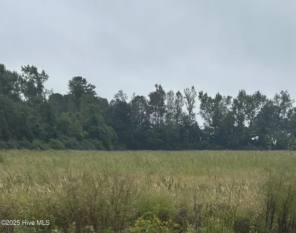 $125,000 | 11.98 Pelham Road, Willard, NC 28478