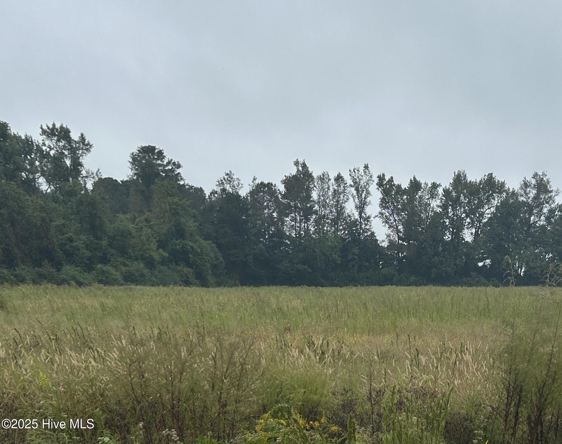 11.98 Pelham Road Willard, NC 28478 - Photo 2 of 6 11.9 Pelham Rd