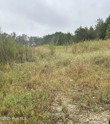 $125,000 | 11.98 Pelham Road, Willard, NC 28478