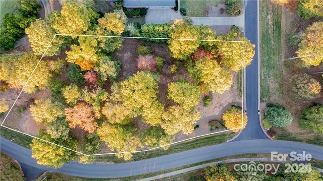 a view of a wooden floor