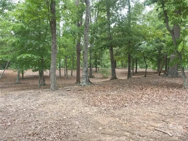 a view of outdoor space with trees