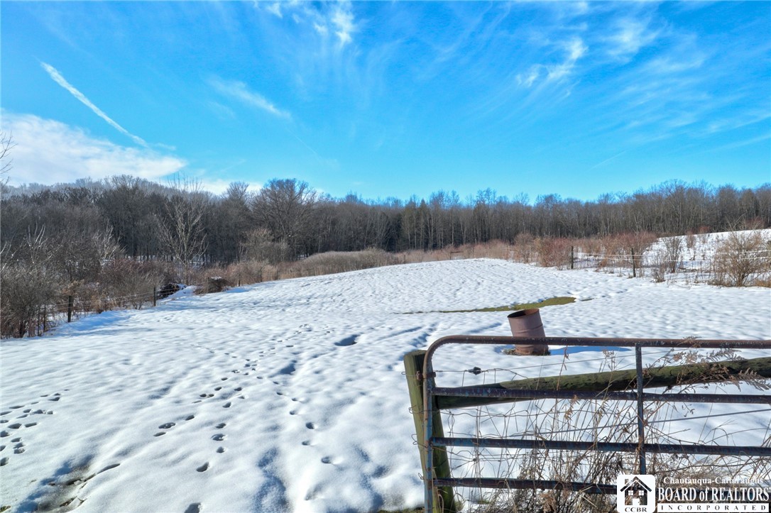 3331 Strunk Road Ellicott, NY 14701 - Photo 4 of 48