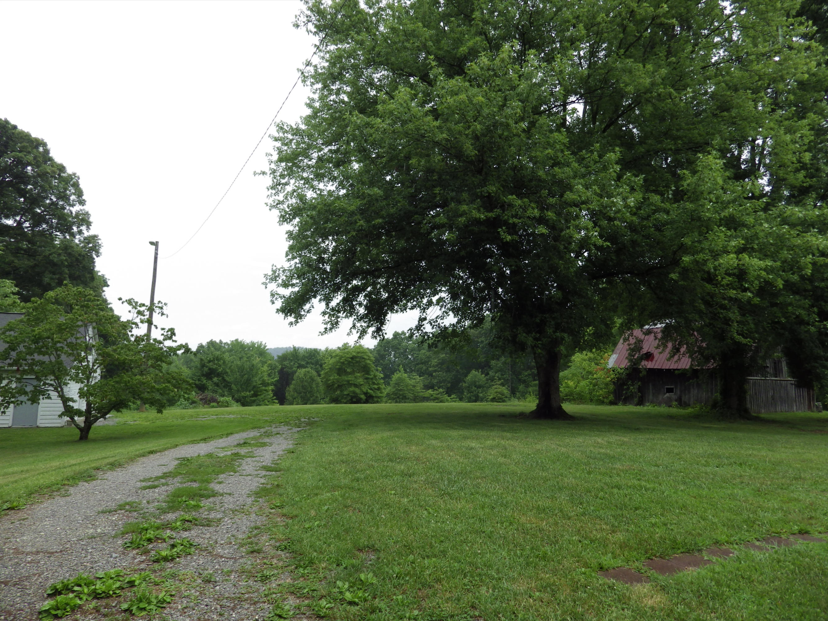 6821 Ridgeview Road Knoxville, TN 37918 - Photo 18 of 18 IMGP0912
