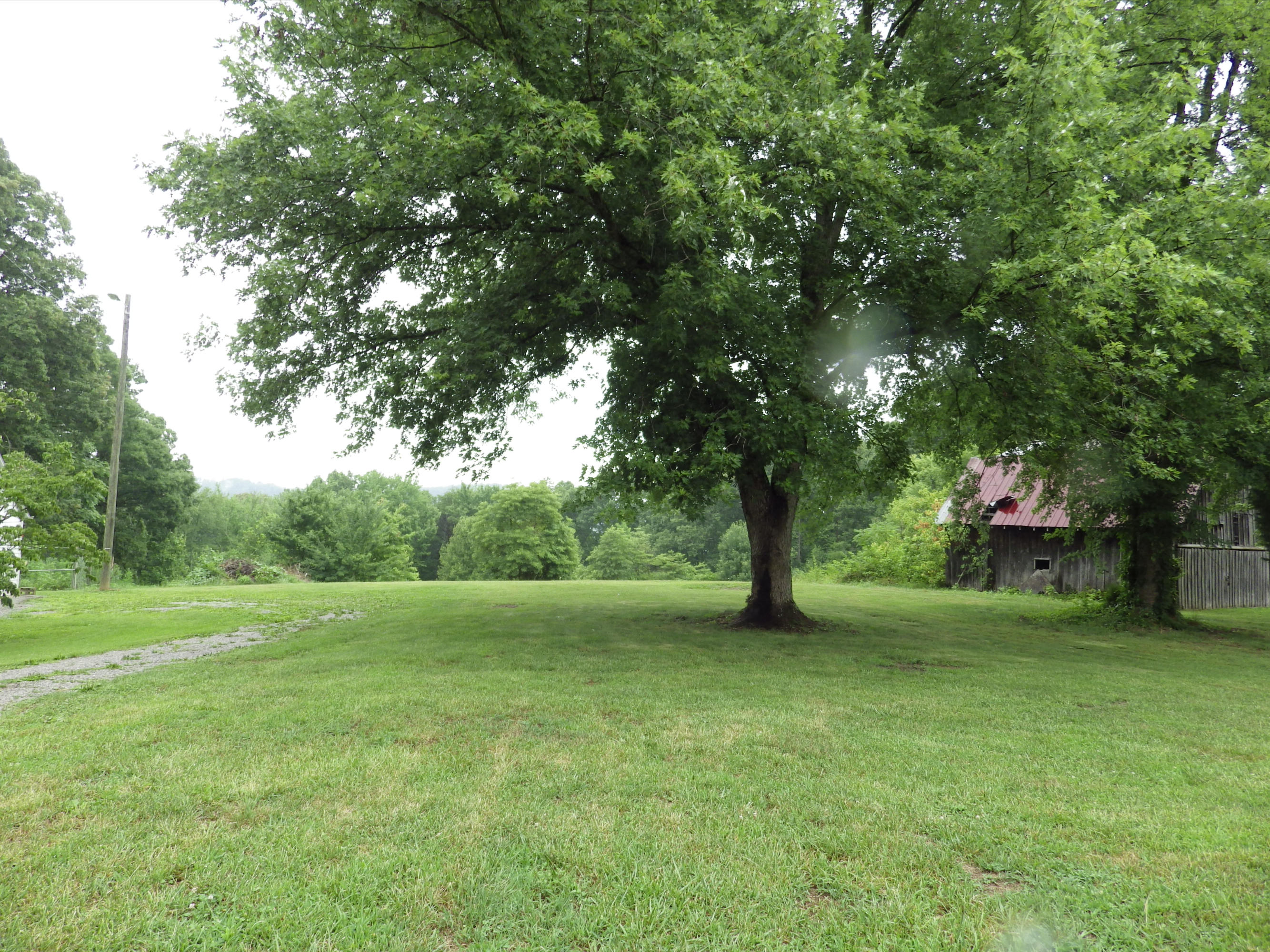 6821 Ridgeview Road Knoxville, TN 37918 - Photo 3 of 18 IMGP0920