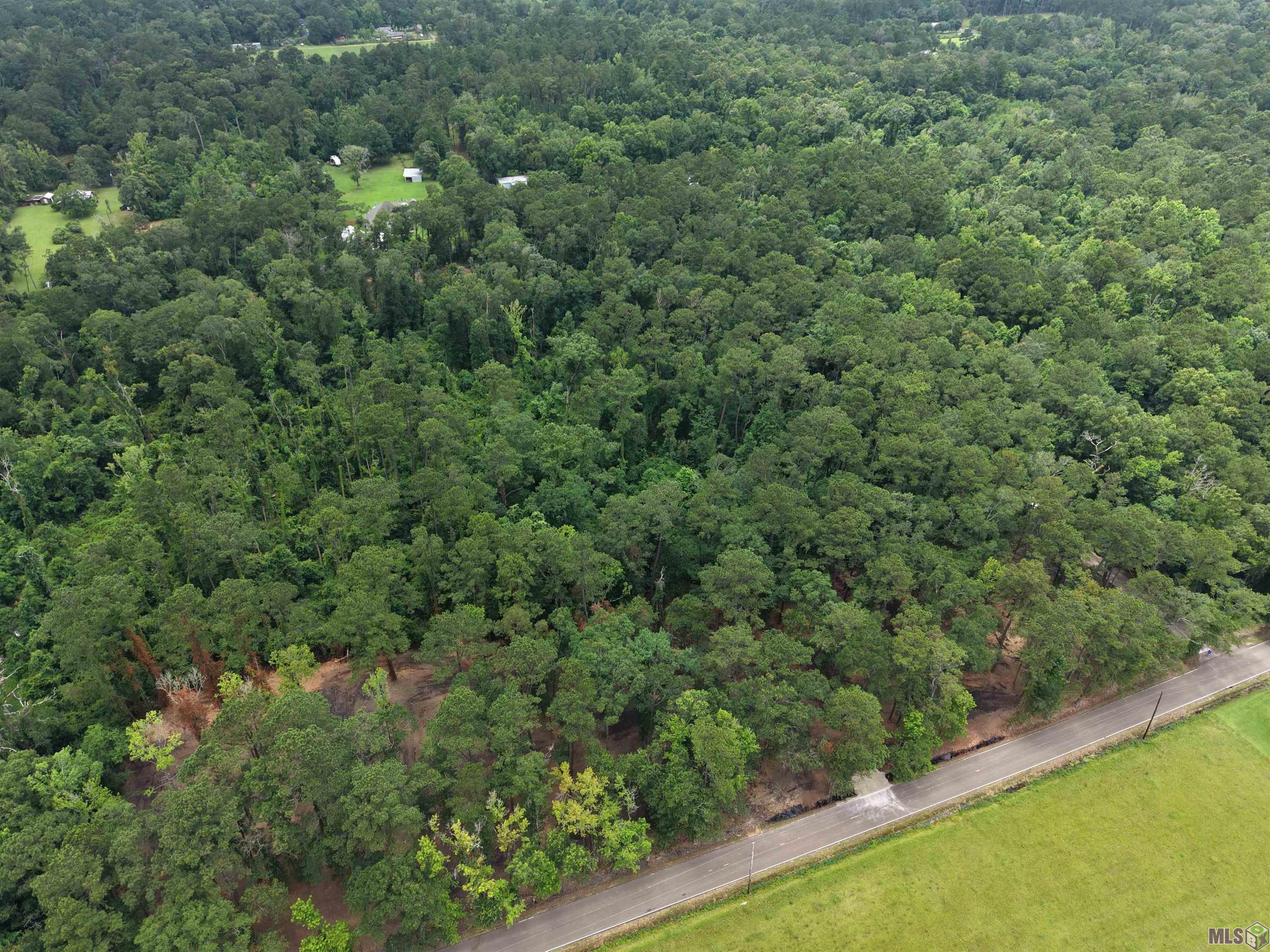 Tract C Esterbrook Road Ponchatoula, LA 70454 - Photo 9 of 13