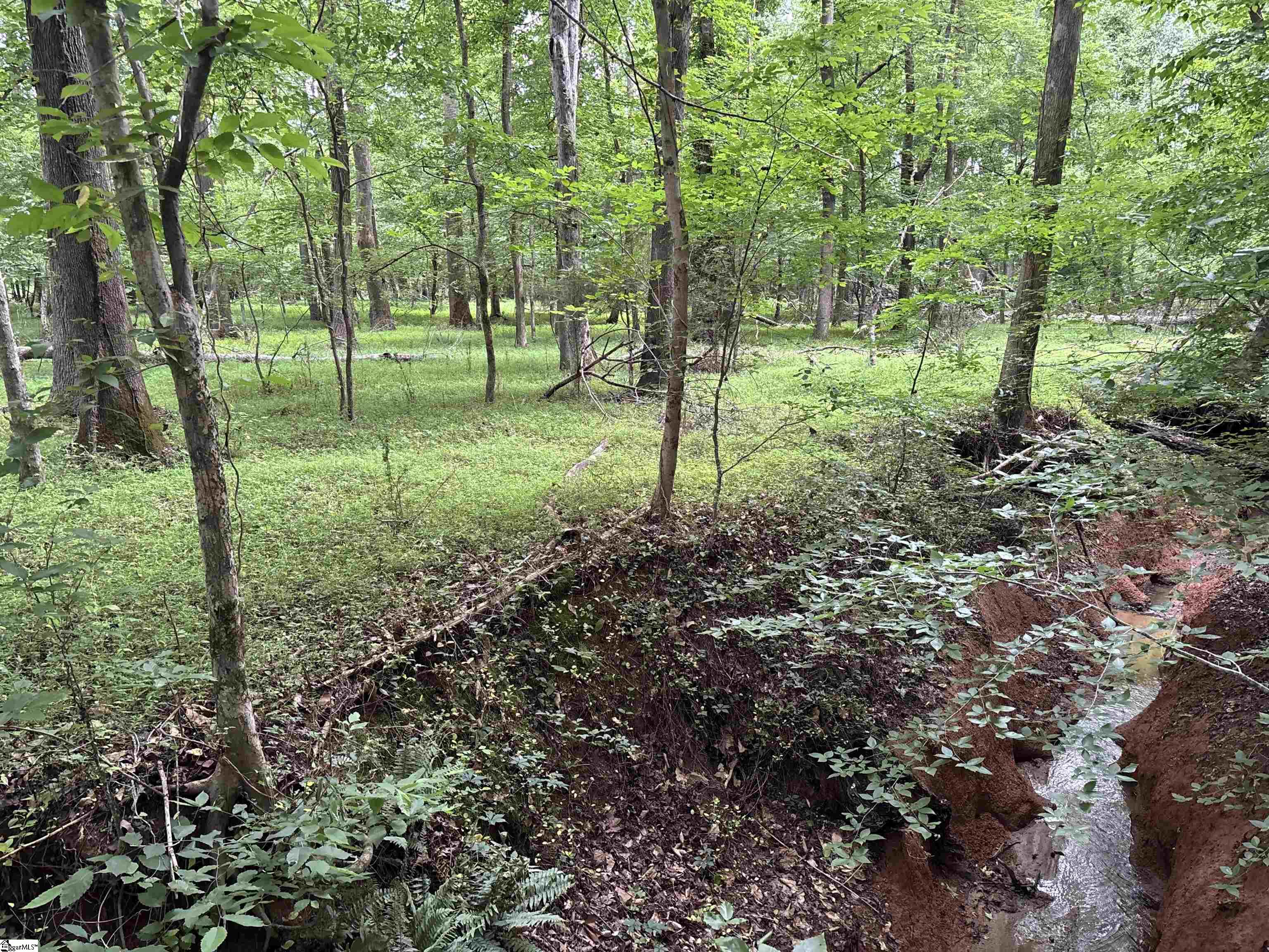 1087 Bobby Faucette Road Jonesville, SC 29353 - Photo 22 of 47