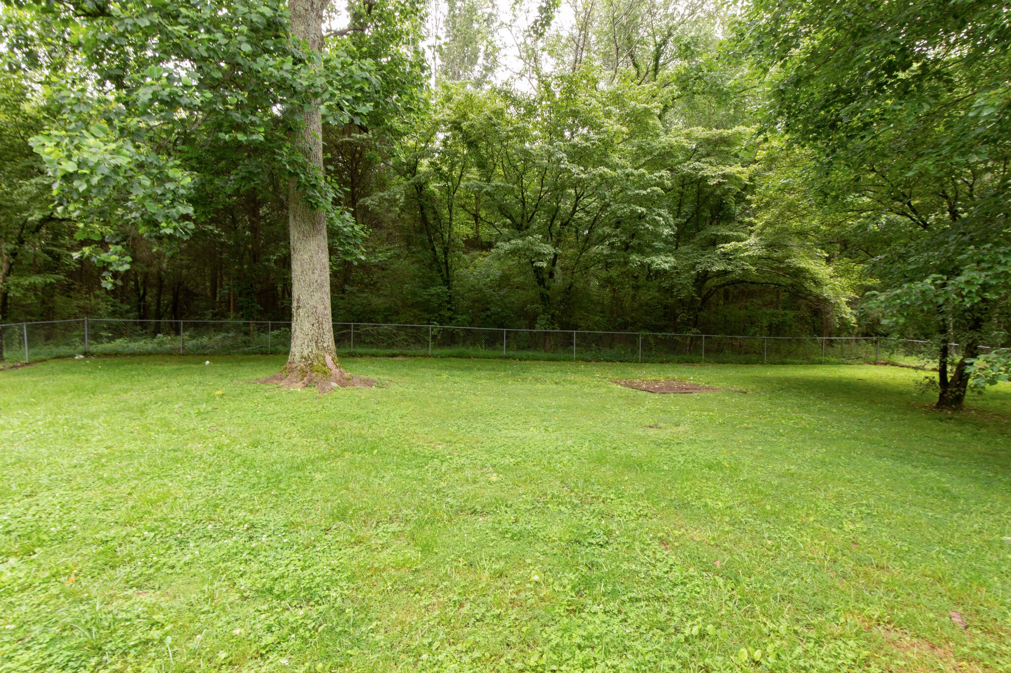 1022 Garton Road Burns, TN 37029 - Photo 23 of 23 a view of green field with trees in the background