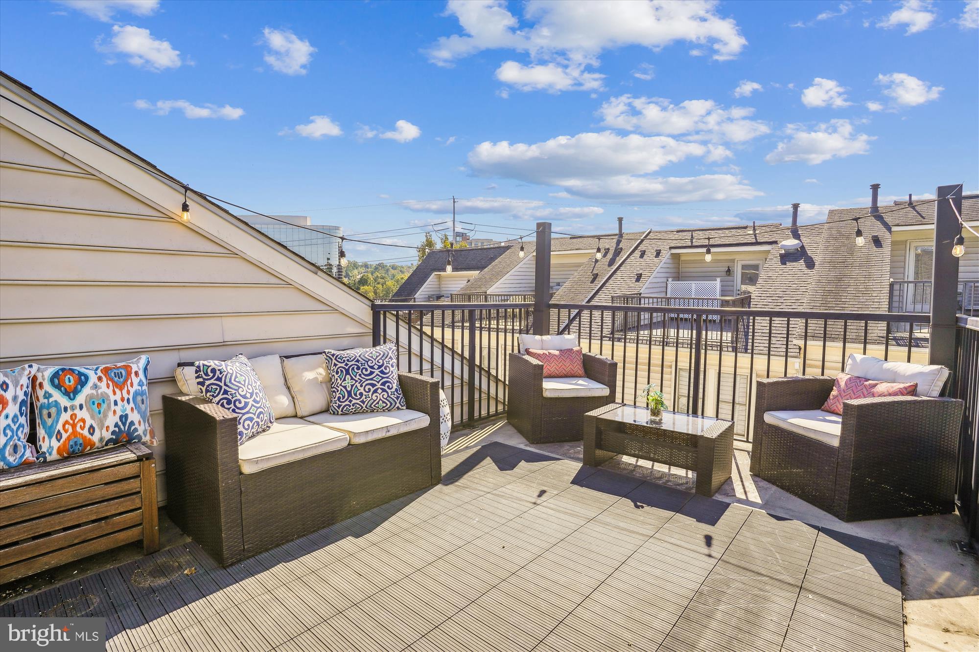 3306 Kemper Road Arlington, VA 22206 - Photo 31 of 50 4th level rooftop terrace!
