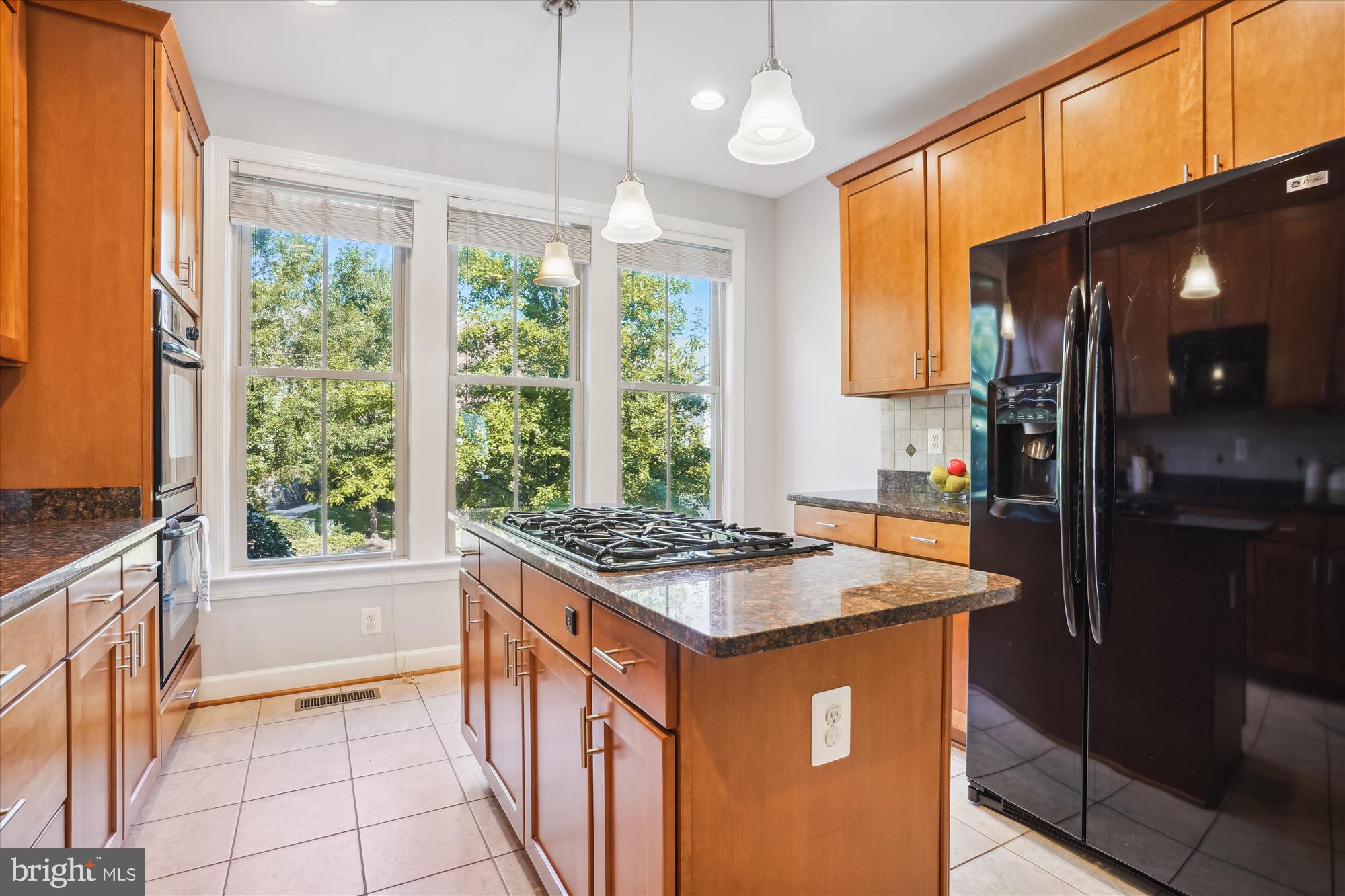 3306 Kemper Road Arlington, VA 22206 - Photo 8 of 50 Granite countertops & tile flooring