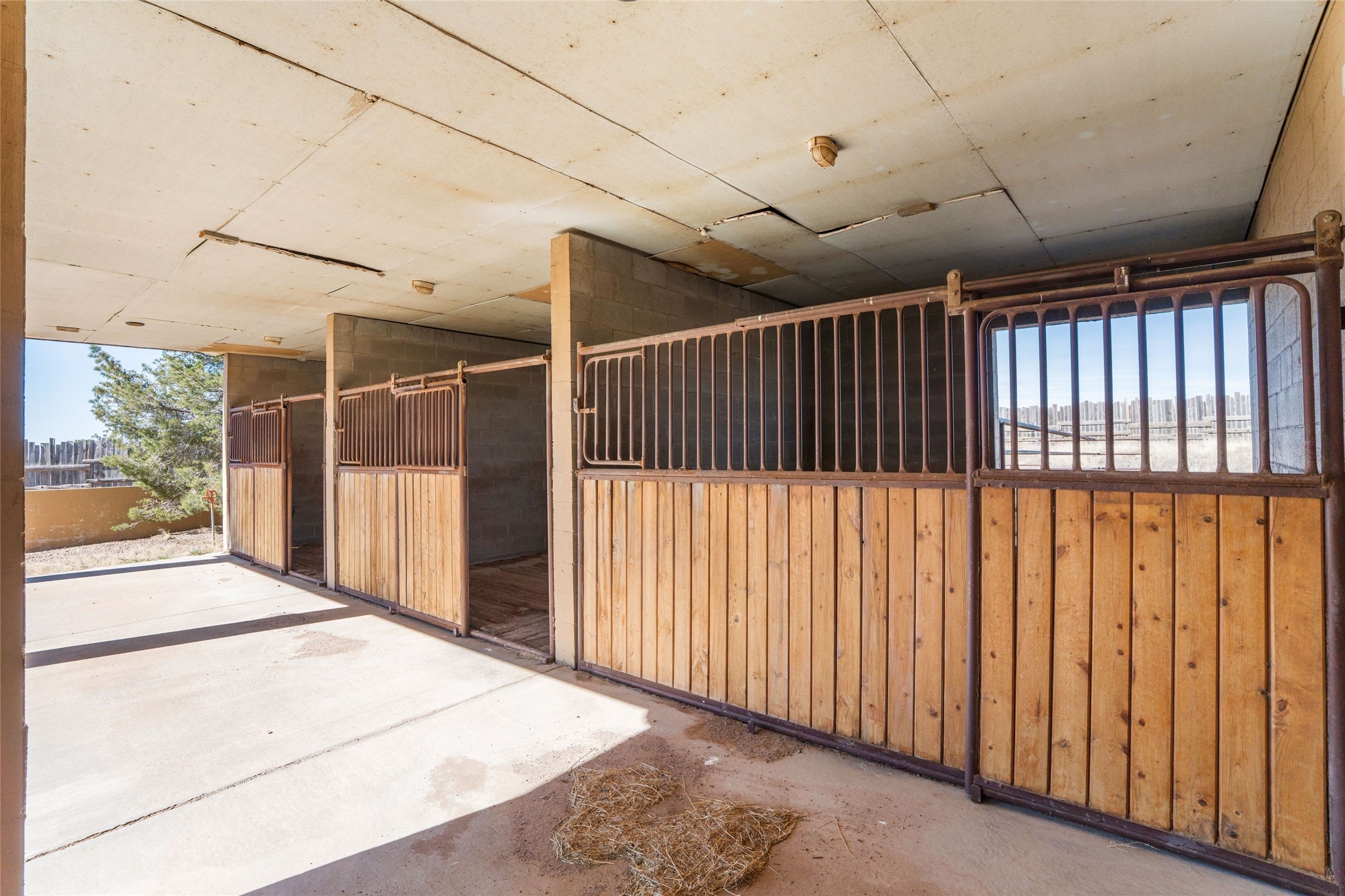 9 Jacinto Road Santa Fe, NM 87508 - Photo 6 of 38