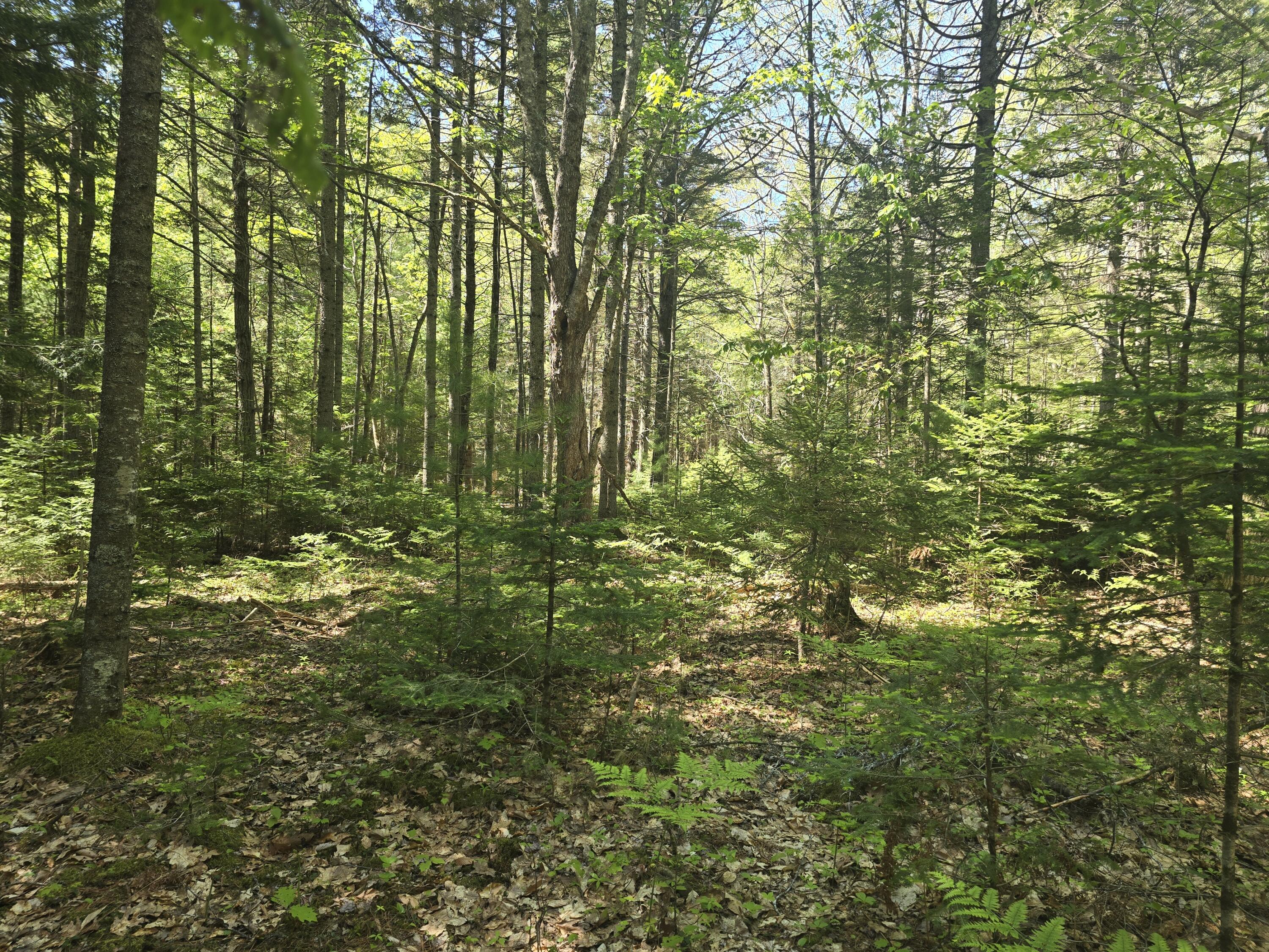 0 Boothbay Road Edgecomb, ME 04556 - Photo 9 of 20 20260603_103148