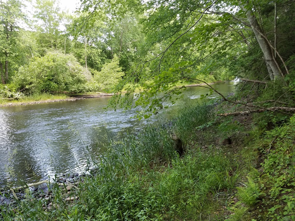 Lot 149 Southbridge Road Dudley, MA 01571 - Photo 1 of 11 Gallery Image 1