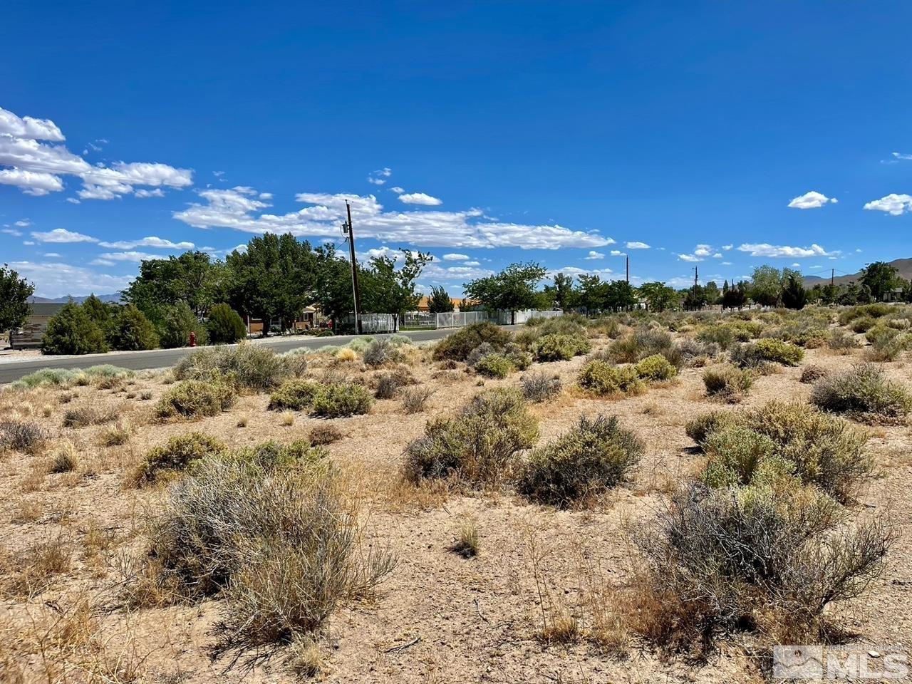 0 Locust Yerington, NV 89447 - Photo 4 of 6 a view of a city