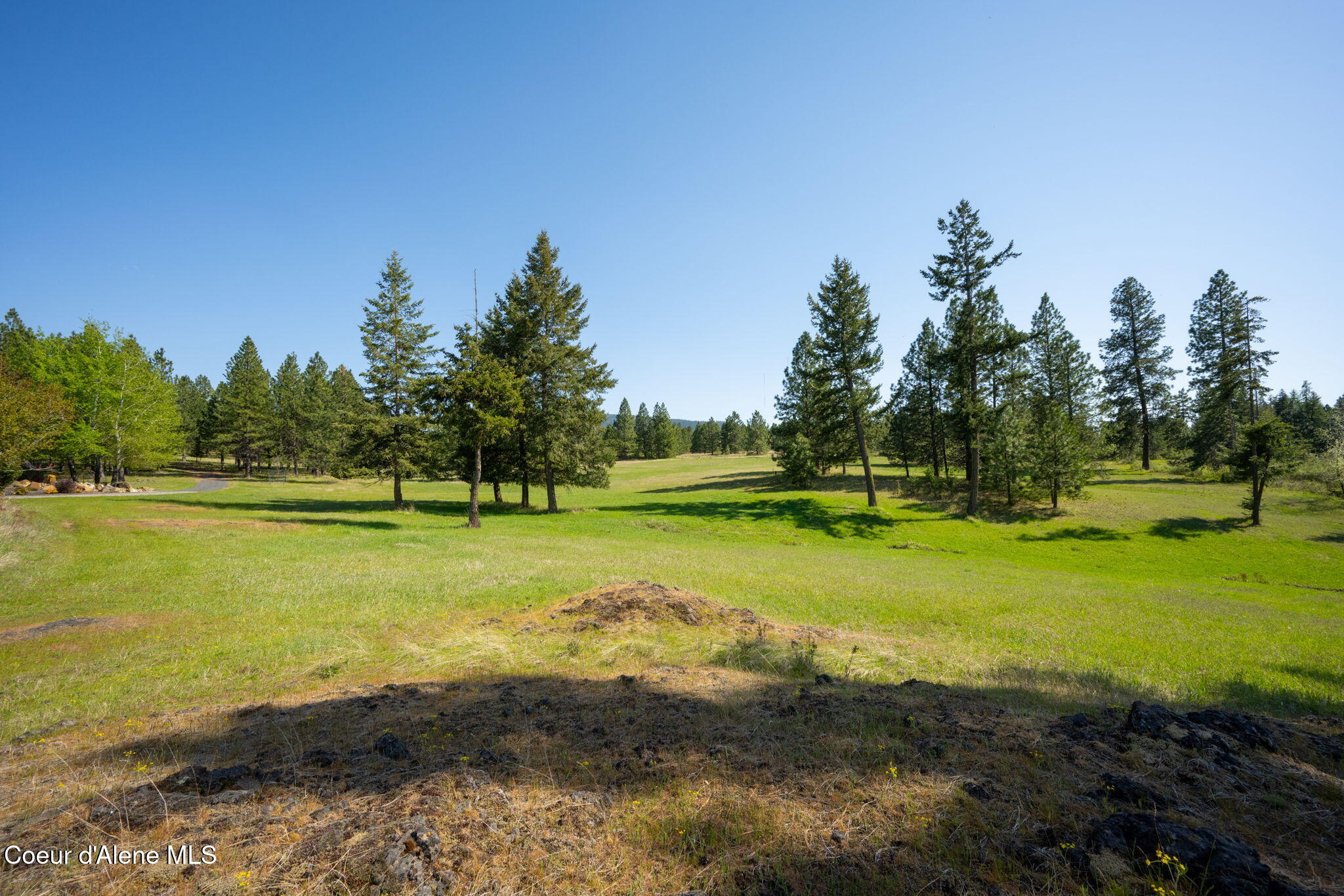 5522 East Aripa Road Harrison, ID 83833 - Photo 29 of 31 130-web-or-mls-DSC_7661