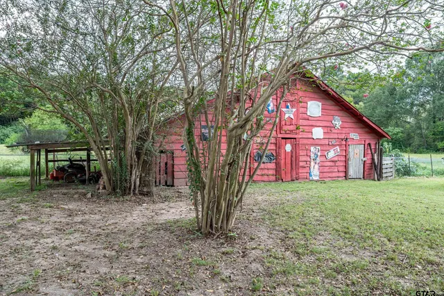 a large tree in middle of the garden